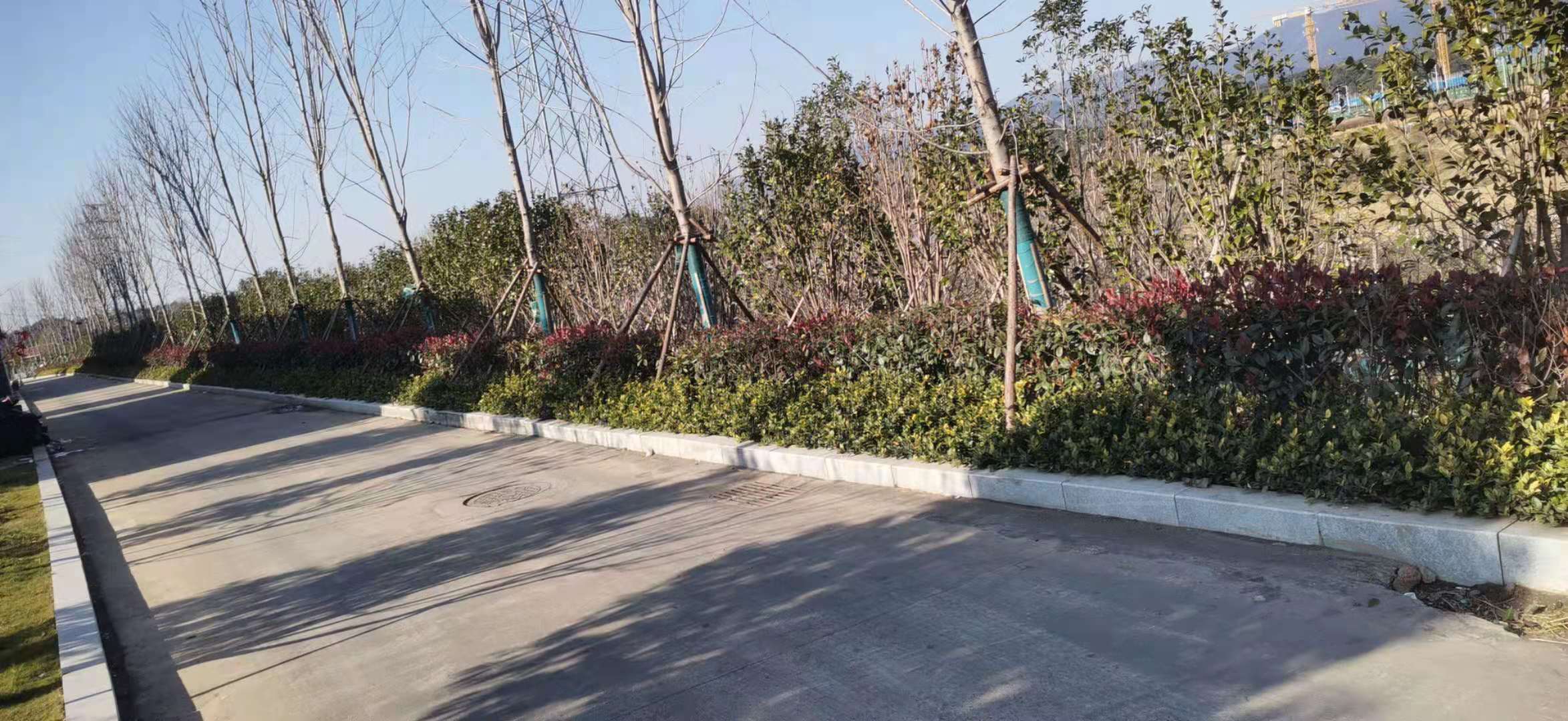 5.效劳区绿化1.jpg