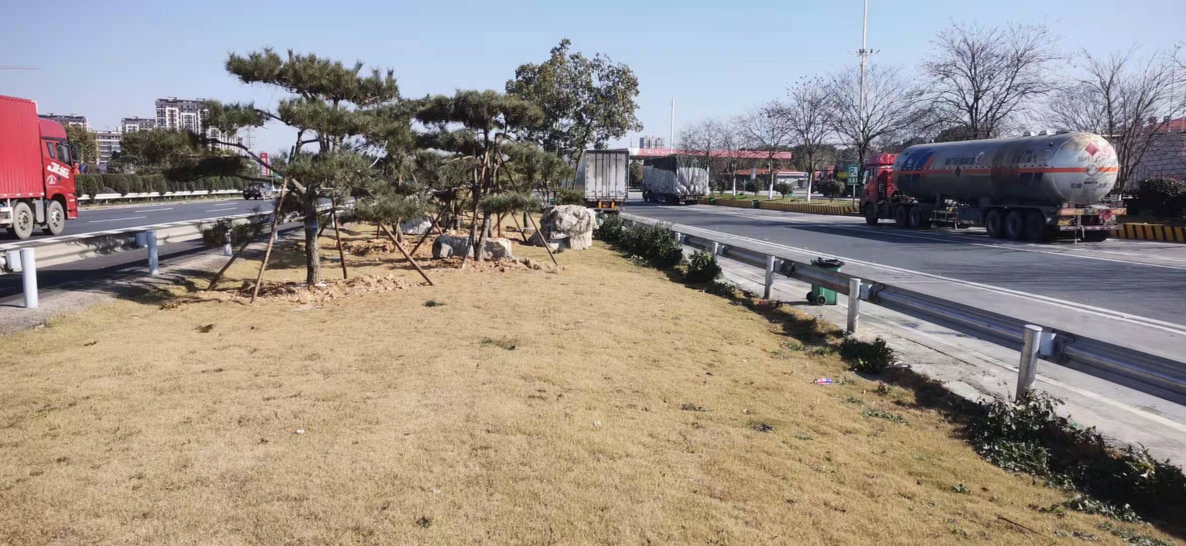 6.效劳区绿化6.jpg